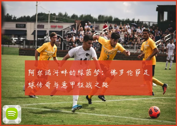 阿尔诺河畔的绿茵梦:佛罗伦萨足球传奇与意甲征战之路