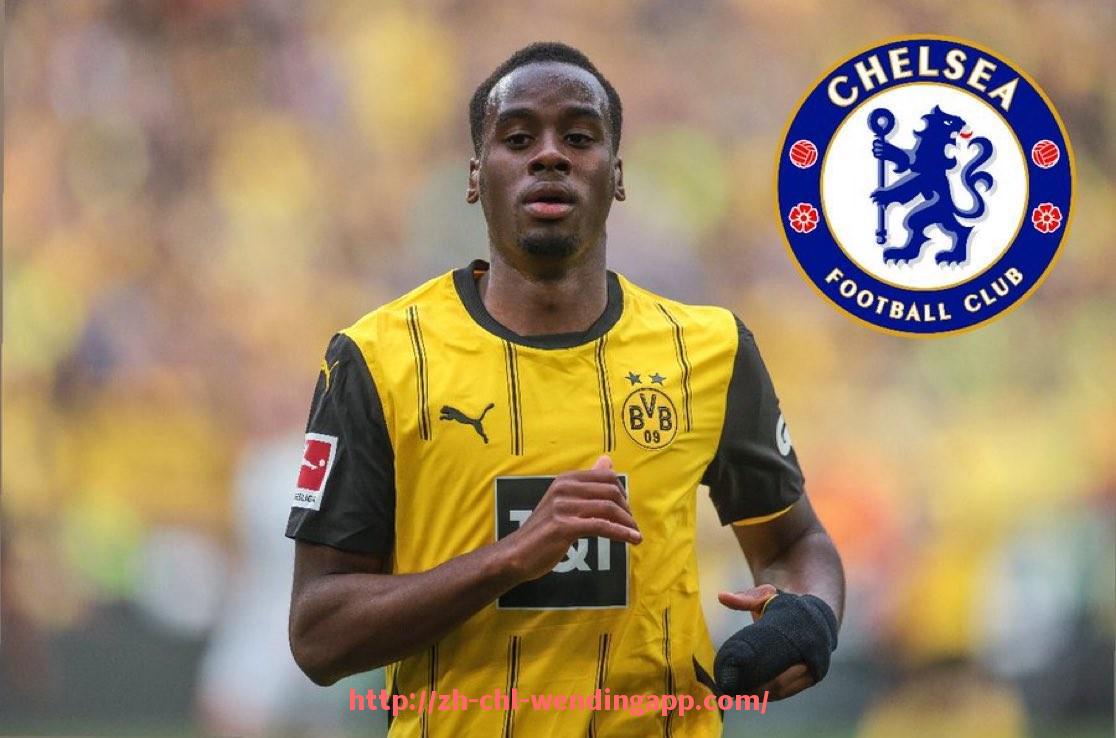 问鼎娱乐官网-世俱杯球员战术背心设计理念与功能应用详解